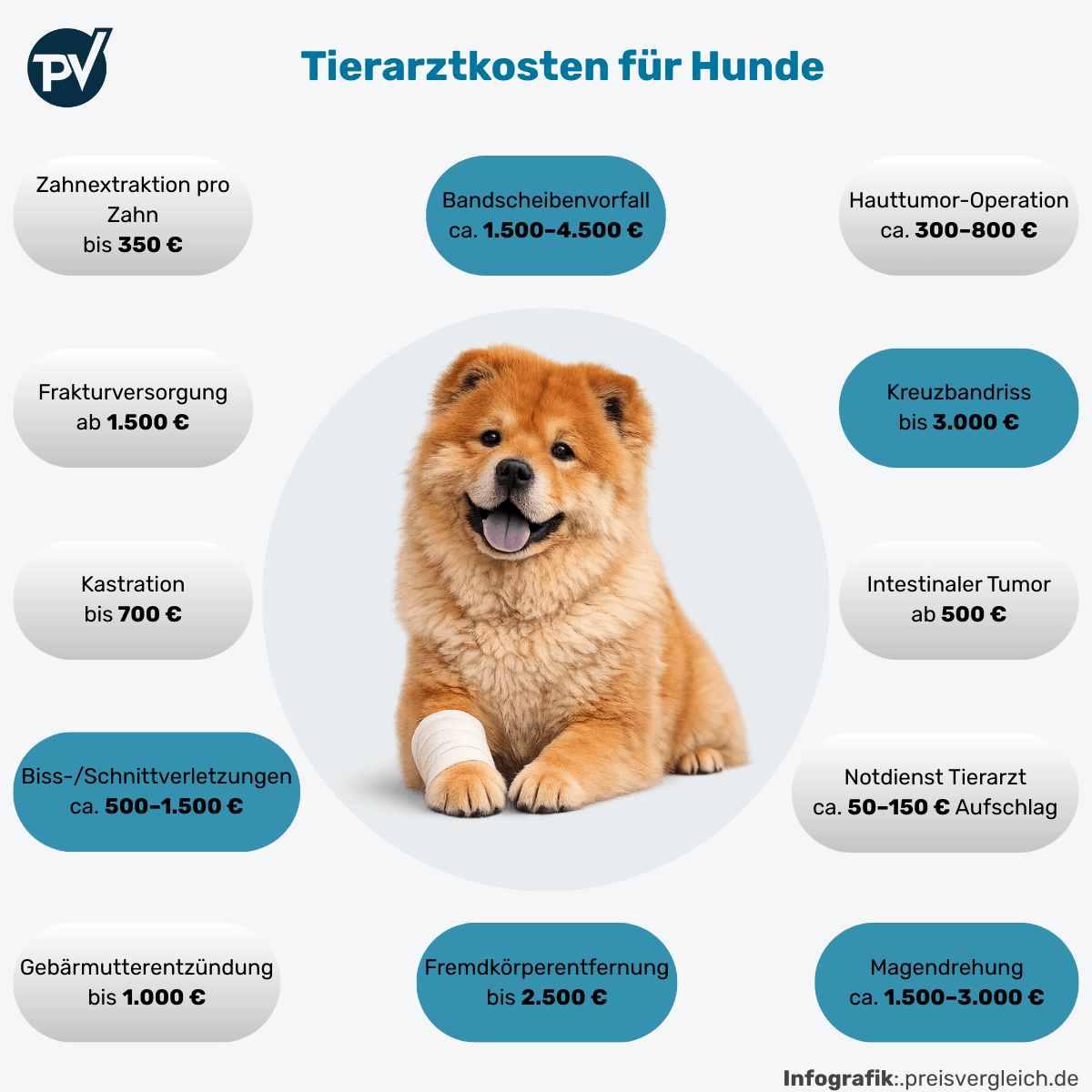 Infografik zu typischen Tierarztkosten beim Hund mit Beispielen für Kreuzbandriss, Bandscheibenvorfall, Tumor-Operation und Notdienst-Zuschläge