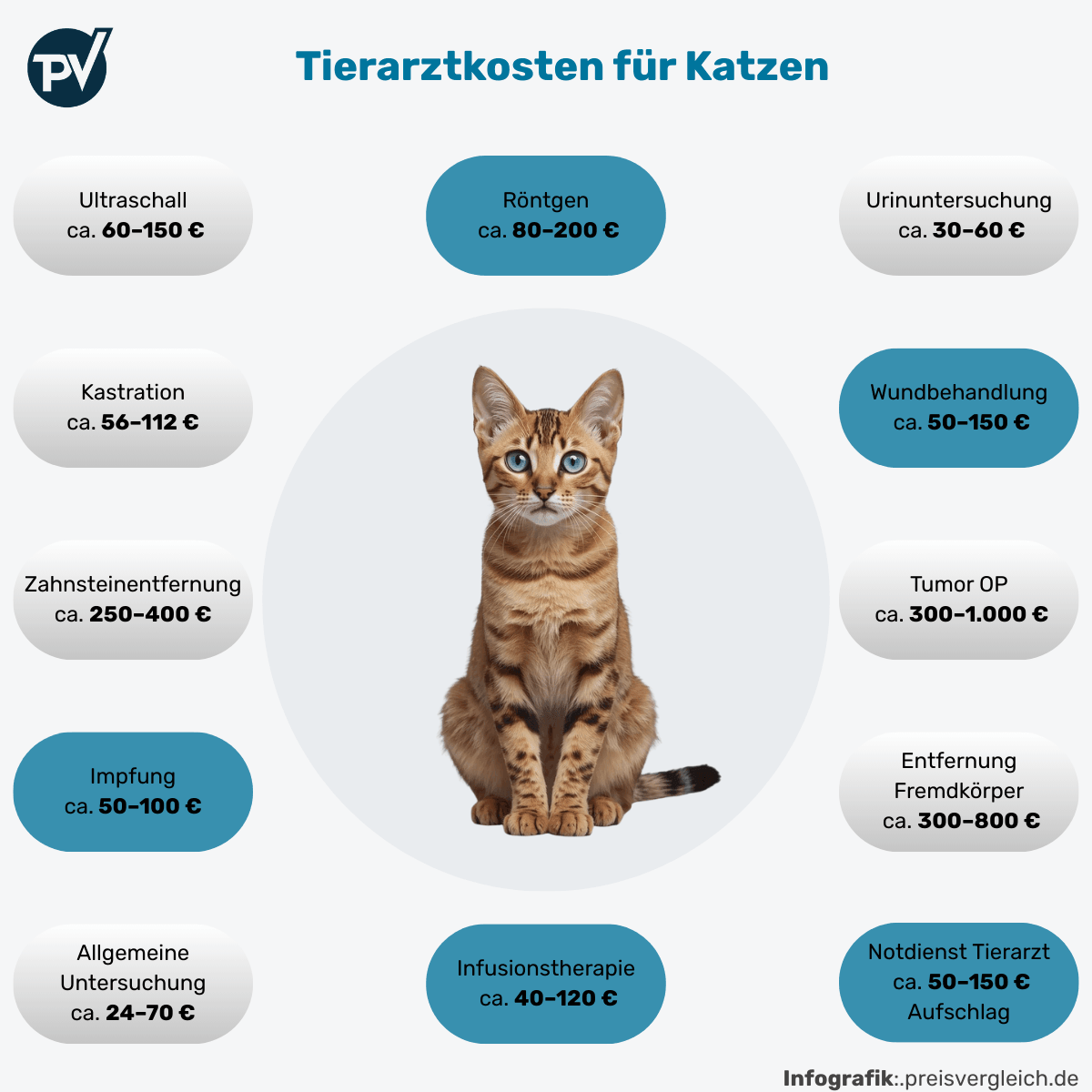 Infografik zu typischen Tierarztkosten bei der Katze mit Beispielen für Tumor-Operation, Fremdkörperentfernung und Zahnsteinentfernung